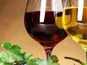 Vino rosso vino bianco: produzione