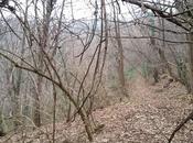 giri nuovi-acque_sorgive_madurello_casette_cazzale_bianchini_salveregina