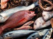Quanto pesce pescare senza rischiare l'estinzione delle specie?