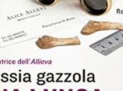 ANTEPRIMA: lunga estate crudele Alessia Gazzola