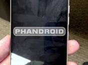 Ecco nuovo ritratto foto team Phandroid