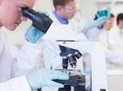 Ricerca, oltre trova lavoro anni dopo conseguimento titolo. All’estero guadagna