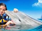 Repubblica Dominicana: nuovissimo Dolphin Discovery