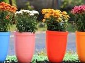 Fiori vaso