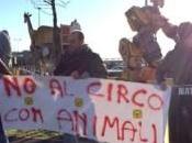 Assago, schiaffeggiata un’animalista davanti circo. #Buccinasco contro circo animali.