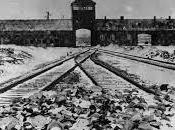 Auschwitz, memoria ieri, vergogna oggi
