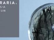 PRECIOUS Picasso Jeff Koons