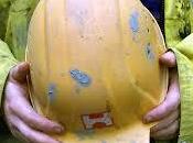 Operaio muore esplosione cisterna Arcole