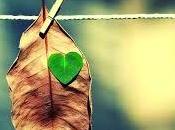 CUORE VENTO...Costantino Posa