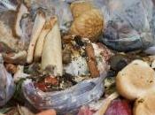 Coldiretti: “Nel 2014 degli italiani diminuito sprechi alimentari, resta molto fare”