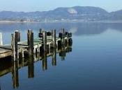 Leggenda Lago Massaciuccoli"