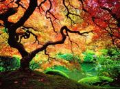 Momento crescita attraverso Spirito degli Alberi