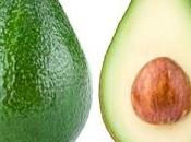 Coltivazione avocado
