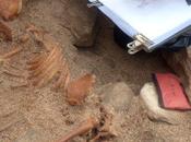 Isole Orcadi, scoperti resti bambino 4000 anni