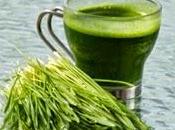 Sfiammare articolazioni l'erba d'orzo