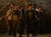 Maze runner labirinto)