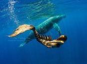 "Nell'amorosa quiete delle braccia"