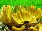 Benefici proprietà delle Banane