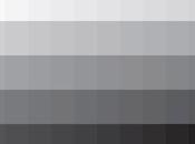 [week-end color] shades Grey