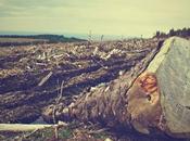 Come evitare morte blog?