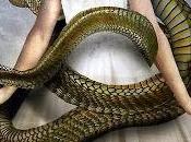 strofa serpente