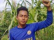 Indonesia: omicidio presso piantagione della