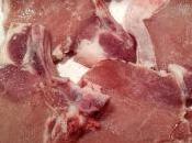 Braciole alla salvia finocchi: ricerca storia