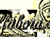 Nuova Collaborazione