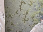 Cultura Fidenza oltre