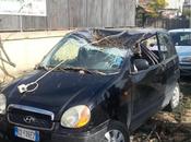 furia vento: auto distrutta rami albero