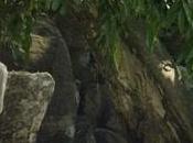 Questo video farà venire voglia spegnere smartphone