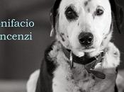 Novità Scoprire: Testimone cane altri racconti Bonifacio Vincenzi