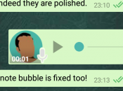 WhatsApp Anti aggirare Download Android