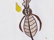 Pidocchi Olio d'oliva