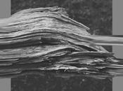 GIANLUCA FAVARON, Forget About Non​-Gray