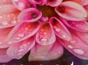 Anteprima: Trilogia Happenstance Jamie McGuire