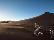 mila miglia intorno mondo #31: ecco Namibia