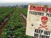 Pesticidi: ecco cinque cancerogeni l'uomo