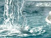 pericoli dell’acqua potabile: fluoruro legato problemi tiroide