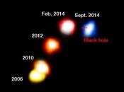 come l’avete vista