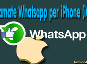 Chiamate WhatsApp, dopo Android arrivo anche iPhone