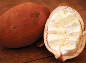 Burro Cupuaçu, straordinario complemento cosmetico