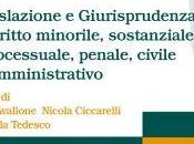 Diritto Minori, Edizioni Simone, 2015