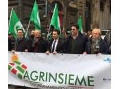 agricola, denuncia Agrinsieme: “Tassa insostenibile. Abolitela!”