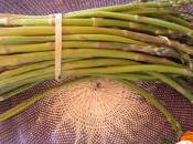 Penne grano saraceno asparagi, zenzero anacardi