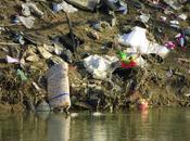 Ancora Magliana. nuovissimo bellissimo parco lungo Tevere circondato disastro ambientale. foto perdere