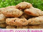 Biscotti fiocchi d’avena cocco
