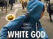 White God, nuovo Film della Bolero