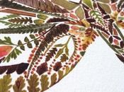 Helen Ahpornsiri: Leaf illustrations