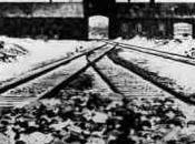 Auschwitz Birkenau: passato futuro